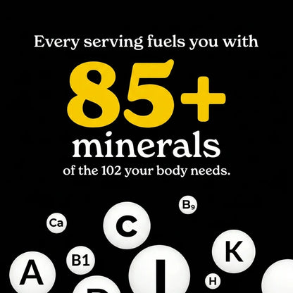 HimaVital Shilajit Resin Paste